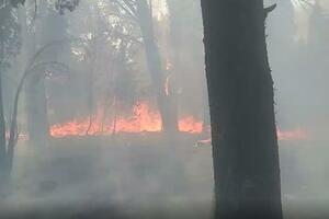 Požar na Gorici ponovo lokalizovan