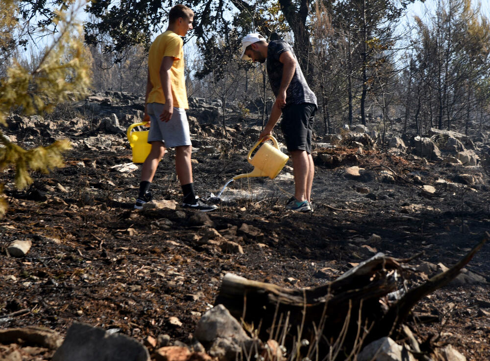 <p>Na Gorici je danas ponovo aktivan veliki požar, a vatra je "progutala" borove, travu i nisko rastinje. Požar nošen vjetrom prebacio se prema podnožju Gorice sa strane Zagoriča.</p>  <p>Pogledajte fotografije koje je zabilježio fotoreporter "Vijesti" Luka Zeković.</p>
