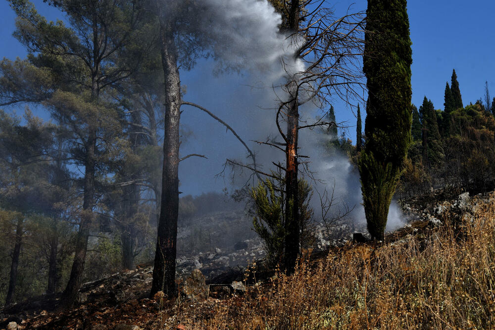 Jedan od prethodnih požara na Gorici (Ilustracija), Foto: Luka Zeković