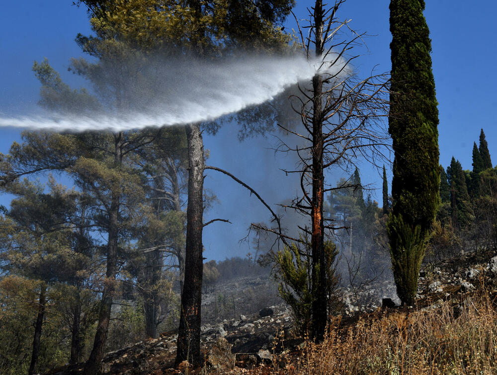 <p>Na Gorici je danas ponovo aktivan veliki požar, a vatra je "progutala" borove, travu i nisko rastinje. Požar nošen vjetrom prebacio se prema podnožju Gorice sa strane Zagoriča.</p>  <p>Pogledajte fotografije koje je zabilježio fotoreporter "Vijesti" Luka Zeković.</p>