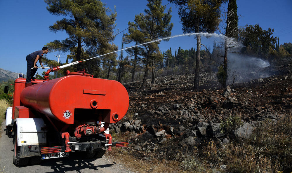 <p>Na Gorici je danas ponovo aktivan veliki požar, a vatra je "progutala" borove, travu i nisko rastinje. Požar nošen vjetrom prebacio se prema podnožju Gorice sa strane Zagoriča.</p>  <p>Pogledajte fotografije koje je zabilježio fotoreporter "Vijesti" Luka Zeković.</p>