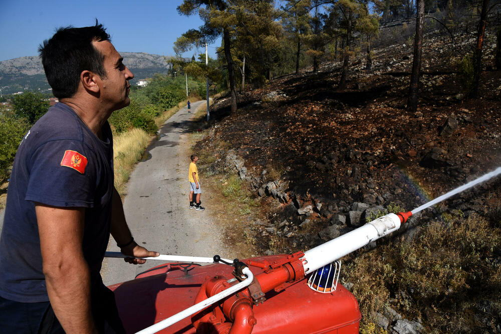 <p>Na Gorici je danas ponovo aktivan veliki požar, a vatra je "progutala" borove, travu i nisko rastinje. Požar nošen vjetrom prebacio se prema podnožju Gorice sa strane Zagoriča.</p>  <p>Pogledajte fotografije koje je zabilježio fotoreporter "Vijesti" Luka Zeković.</p>