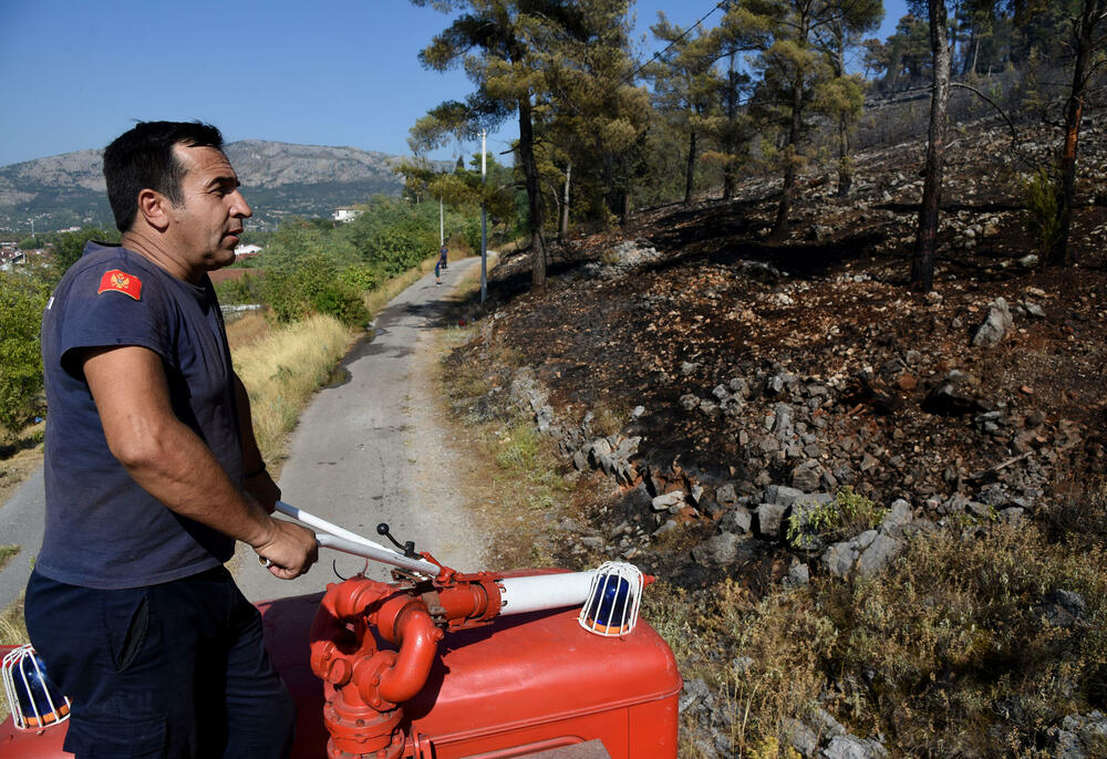 <p>Na Gorici je danas ponovo aktivan veliki požar, a vatra je "progutala" borove, travu i nisko rastinje. Požar nošen vjetrom prebacio se prema podnožju Gorice sa strane Zagoriča.</p>  <p>Pogledajte fotografije koje je zabilježio fotoreporter "Vijesti" Luka Zeković.</p>