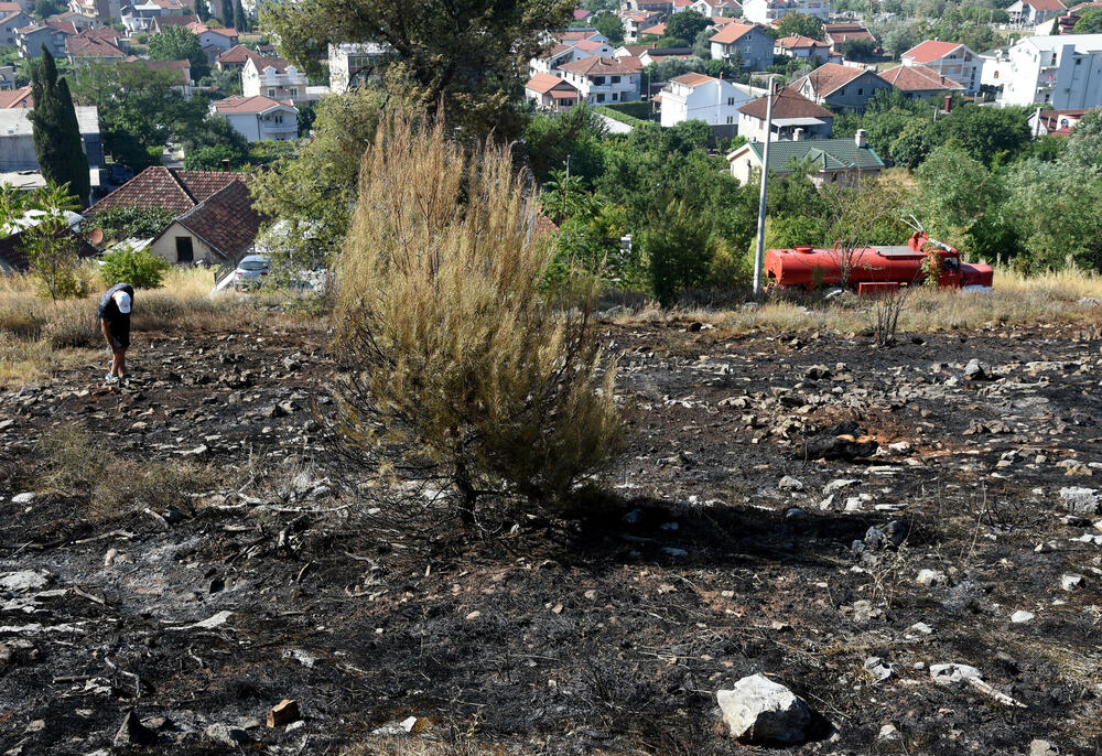 <p>Na Gorici je danas ponovo aktivan veliki požar, a vatra je "progutala" borove, travu i nisko rastinje. Požar nošen vjetrom prebacio se prema podnožju Gorice sa strane Zagoriča.</p>  <p>Pogledajte fotografije koje je zabilježio fotoreporter "Vijesti" Luka Zeković.</p>
