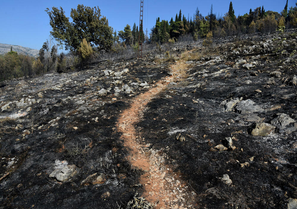 <p>Iz Glavnog grada potvrdili da su vatrogasci cisterne vodom punili na donjim kotama brda, jer je na gornjim “slabiji pritisak”. Opština Podgorica, kao ni većina drugih, nema evidenciju o posljedicama šumskih požara</p>