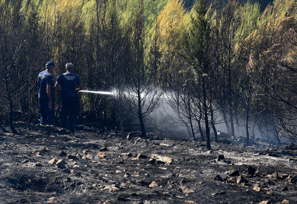 <p>Iz Glavnog grada potvrdili da su vatrogasci cisterne vodom punili na donjim kotama brda, jer je na gornjim “slabiji pritisak”. Opština Podgorica, kao ni većina drugih, nema evidenciju o posljedicama šumskih požara</p>