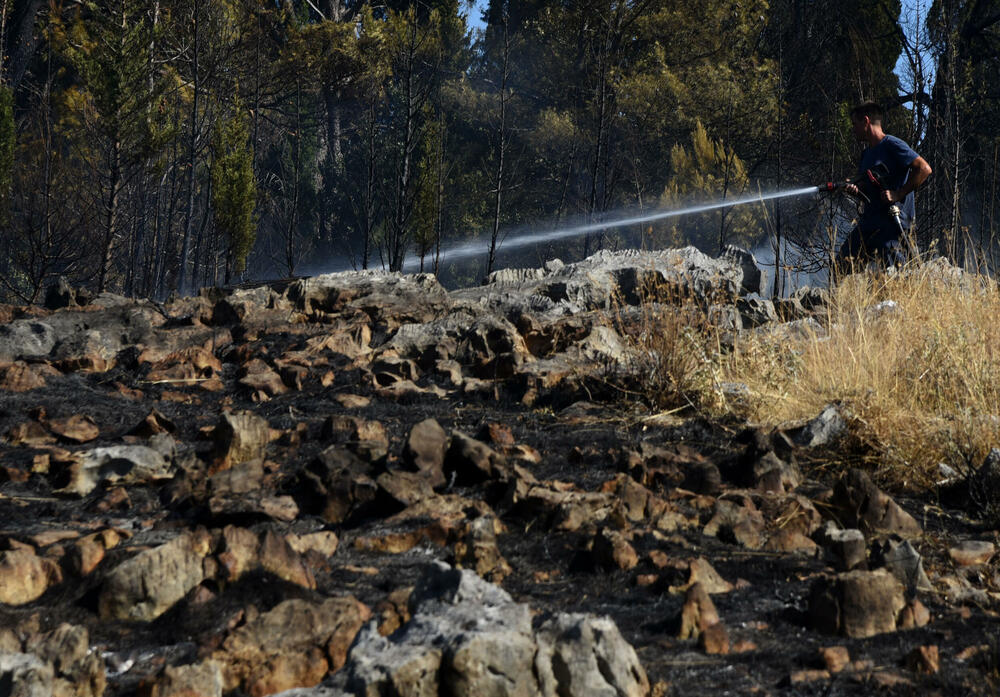 <p>Na Gorici je danas ponovo aktivan veliki požar, a vatra je "progutala" borove, travu i nisko rastinje. Požar nošen vjetrom prebacio se prema podnožju Gorice sa strane Zagoriča.</p>  <p>Pogledajte fotografije koje je zabilježio fotoreporter "Vijesti" Luka Zeković.</p>