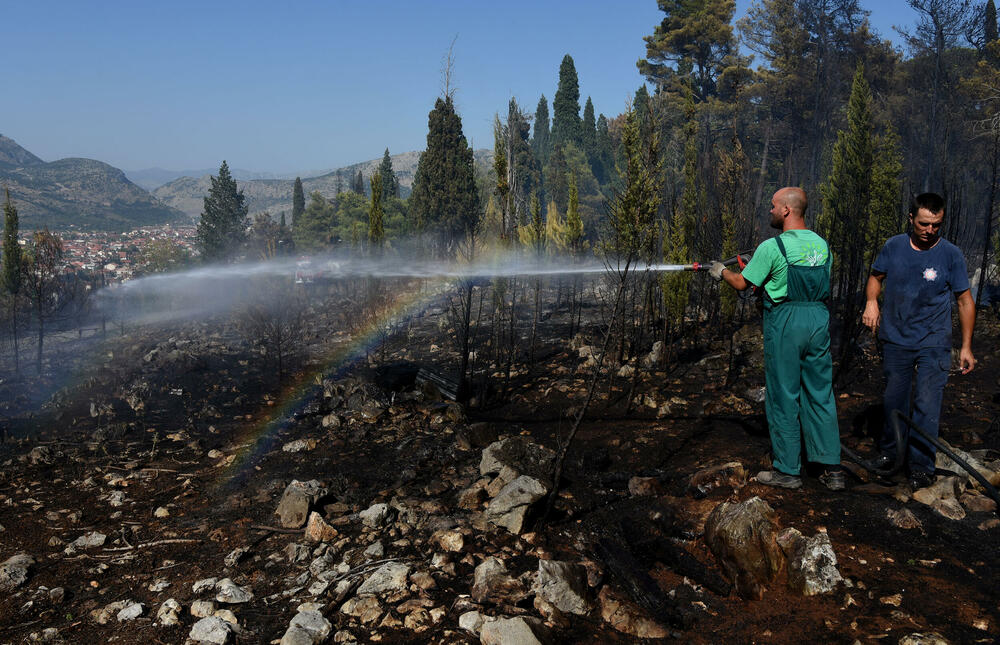 <p>Iz Glavnog grada potvrdili da su vatrogasci cisterne vodom punili na donjim kotama brda, jer je na gornjim “slabiji pritisak”. Opština Podgorica, kao ni većina drugih, nema evidenciju o posljedicama šumskih požara</p>