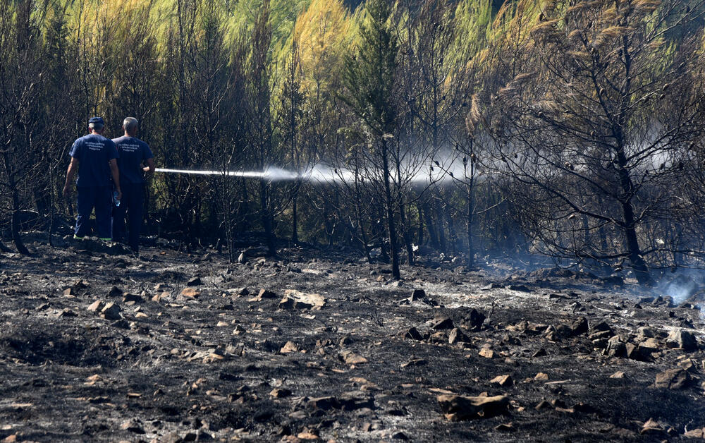 <p>Na Gorici je danas ponovo aktivan veliki požar, a vatra je "progutala" borove, travu i nisko rastinje. Požar nošen vjetrom prebacio se prema podnožju Gorice sa strane Zagoriča.</p>  <p>Pogledajte fotografije koje je zabilježio fotoreporter "Vijesti" Luka Zeković.</p>