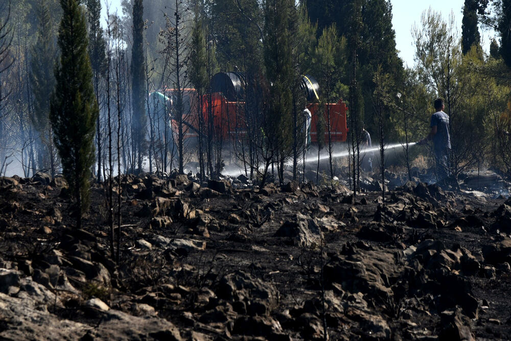 <p>Iz Glavnog grada potvrdili da su vatrogasci cisterne vodom punili na donjim kotama brda, jer je na gornjim “slabiji pritisak”. Opština Podgorica, kao ni većina drugih, nema evidenciju o posljedicama šumskih požara</p>