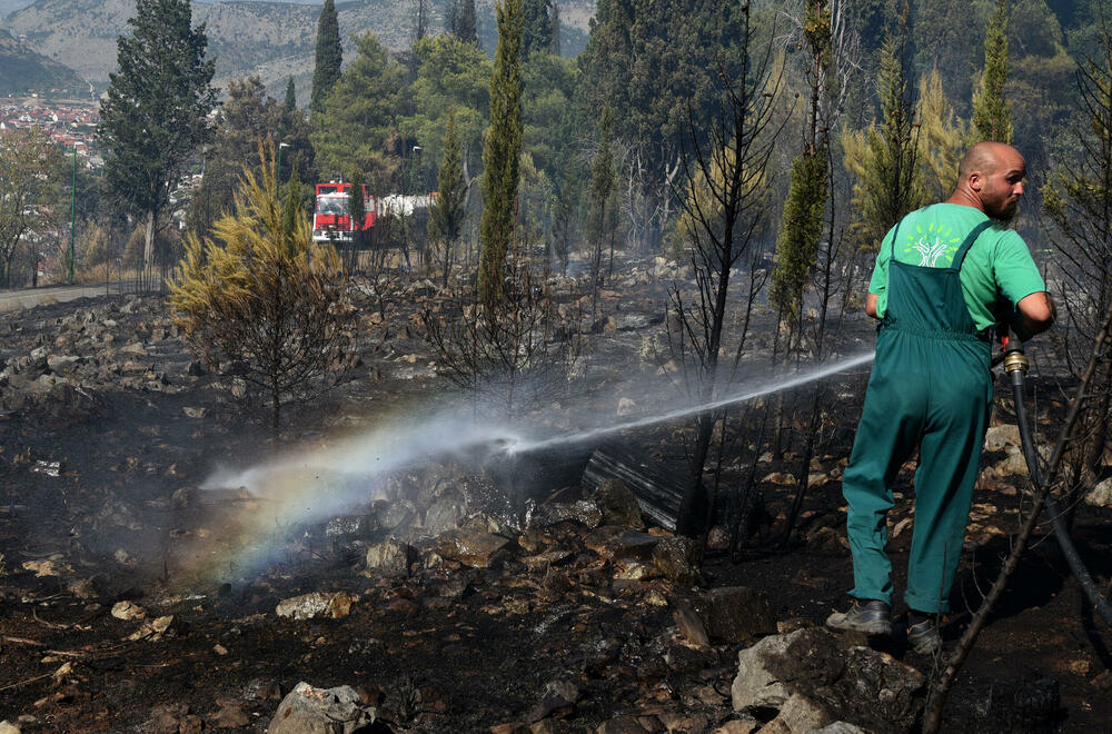 <p>Na Gorici je danas ponovo aktivan veliki požar, a vatra je "progutala" borove, travu i nisko rastinje. Požar nošen vjetrom prebacio se prema podnožju Gorice sa strane Zagoriča.</p>  <p>Pogledajte fotografije koje je zabilježio fotoreporter "Vijesti" Luka Zeković.</p>