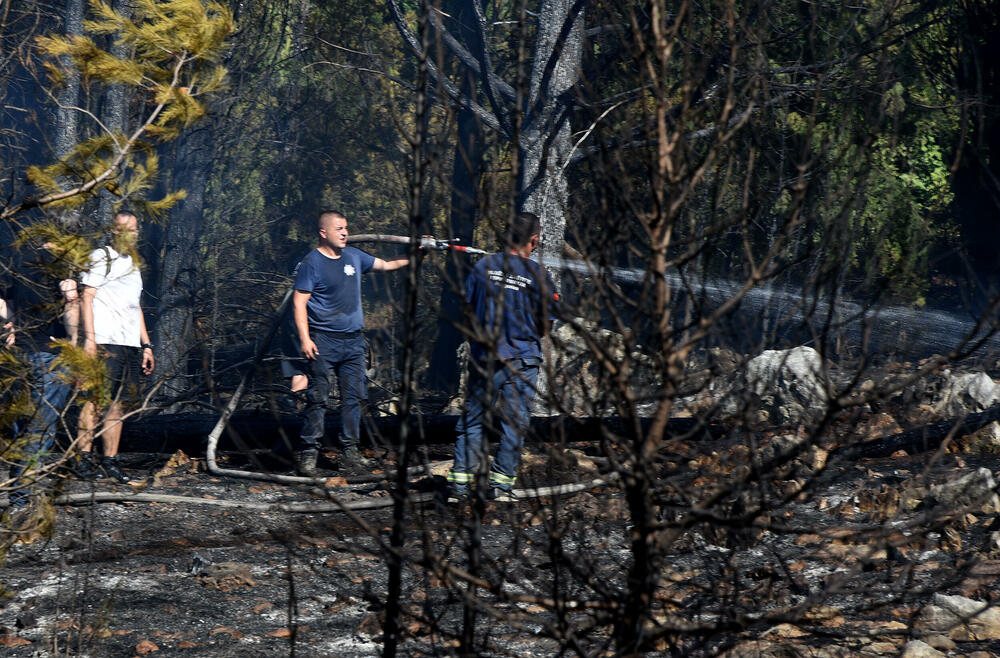 <p>Na Gorici je danas ponovo aktivan veliki požar, a vatra je "progutala" borove, travu i nisko rastinje. Požar nošen vjetrom prebacio se prema podnožju Gorice sa strane Zagoriča.</p>  <p>Pogledajte fotografije koje je zabilježio fotoreporter "Vijesti" Luka Zeković.</p>