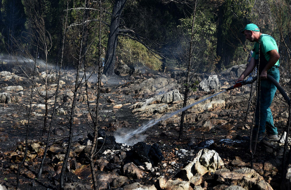 <p>Na Gorici je danas ponovo aktivan veliki požar, a vatra je "progutala" borove, travu i nisko rastinje. Požar nošen vjetrom prebacio se prema podnožju Gorice sa strane Zagoriča.</p>  <p>Pogledajte fotografije koje je zabilježio fotoreporter "Vijesti" Luka Zeković.</p>