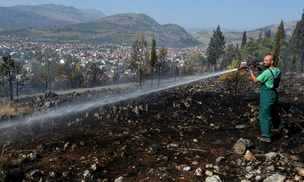 <p>Na Gorici je danas ponovo aktivan veliki požar, a vatra je "progutala" borove, travu i nisko rastinje. Požar nošen vjetrom prebacio se prema podnožju Gorice sa strane Zagoriča.</p>  <p>Pogledajte fotografije koje je zabilježio fotoreporter "Vijesti" Luka Zeković.</p>