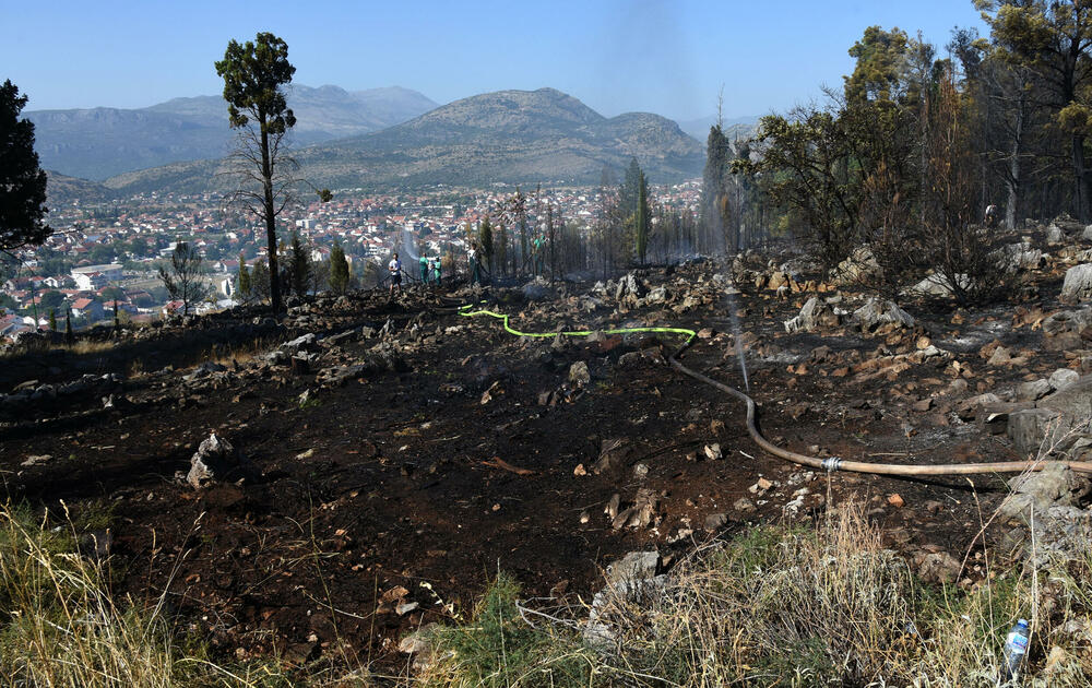 <p>Iz Glavnog grada potvrdili da su vatrogasci cisterne vodom punili na donjim kotama brda, jer je na gornjim “slabiji pritisak”. Opština Podgorica, kao ni većina drugih, nema evidenciju o posljedicama šumskih požara</p>