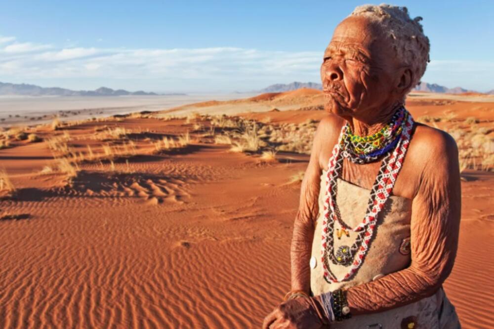 Foto: Martin Harvey/Getty Images