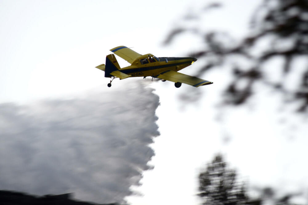 Foto: Boris Pejović