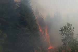 Na području mojkovačke opštine požari na više lokacija