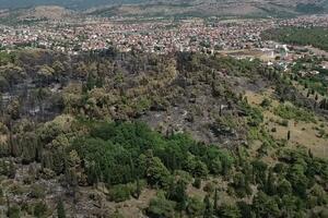 Pogledajte kako izgleda brdo Gorica nakon požara