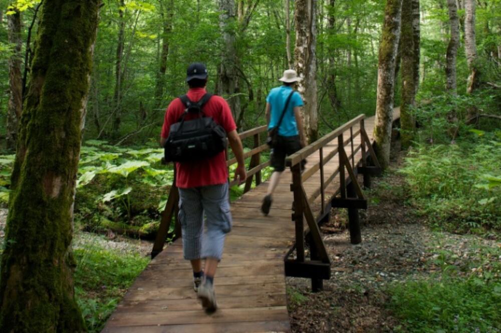 Foto: NP Biogradska gora