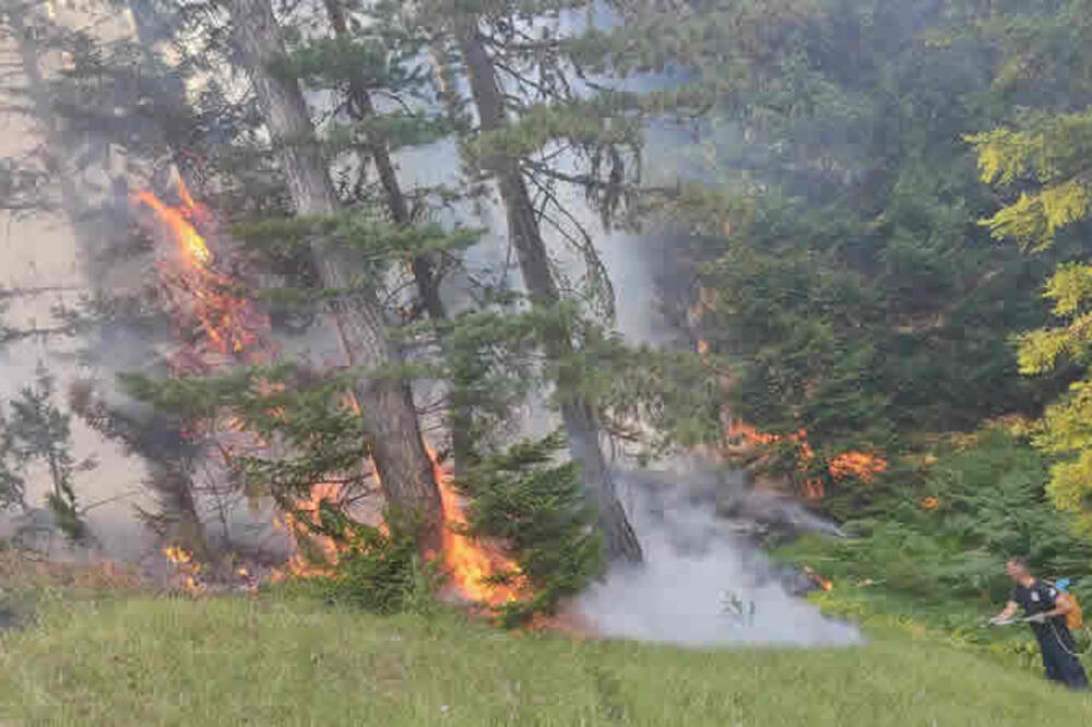 Šumski požar, Foto: Opština Pljevlja