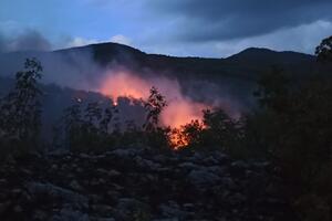Danima aktivan požar u Gornjoj Trepči