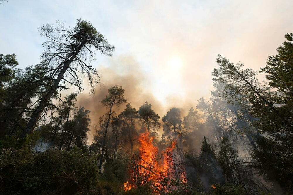 Grčka požar