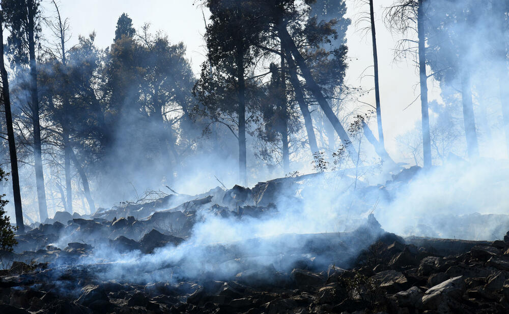 <p>"Dok naše kolege danonoćno čuvaju Goricu i Ljubović, neko je „iskoristio priliku“ i podmetnuo požar na Malom brdu”, napisao je Vuković na Tviteru</p>