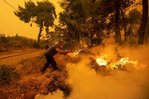 Na grčkom ostrvu Evija i dalje traje borba sa velikim požarom:...