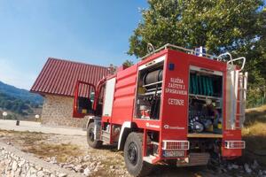 Požar u Katunskoj nahiji, ugroženi i stambeni objekti: U gašenju...