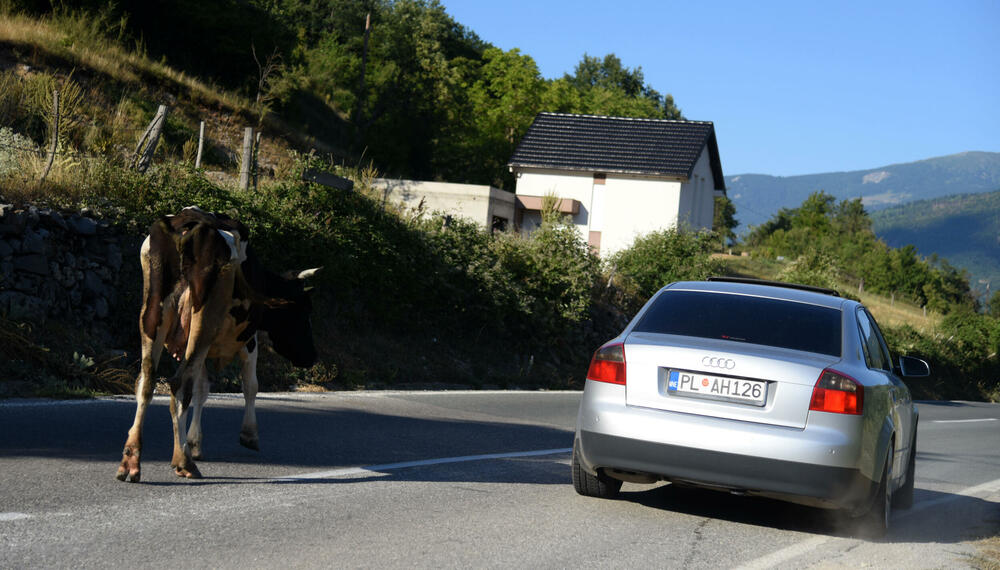 <p>Otvaranjem graničnog prelaza Zatrijebačka Cijevna, Gusinje je postalo najbliža opština sa sjevera Podgorici, a ne najdalja, ako se putuje preko Crne Gore</p>