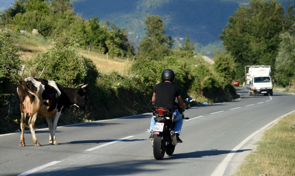 <p>Otvaranjem graničnog prelaza Zatrijebačka Cijevna, Gusinje je postalo najbliža opština sa sjevera Podgorici, a ne najdalja, ako se putuje preko Crne Gore</p>