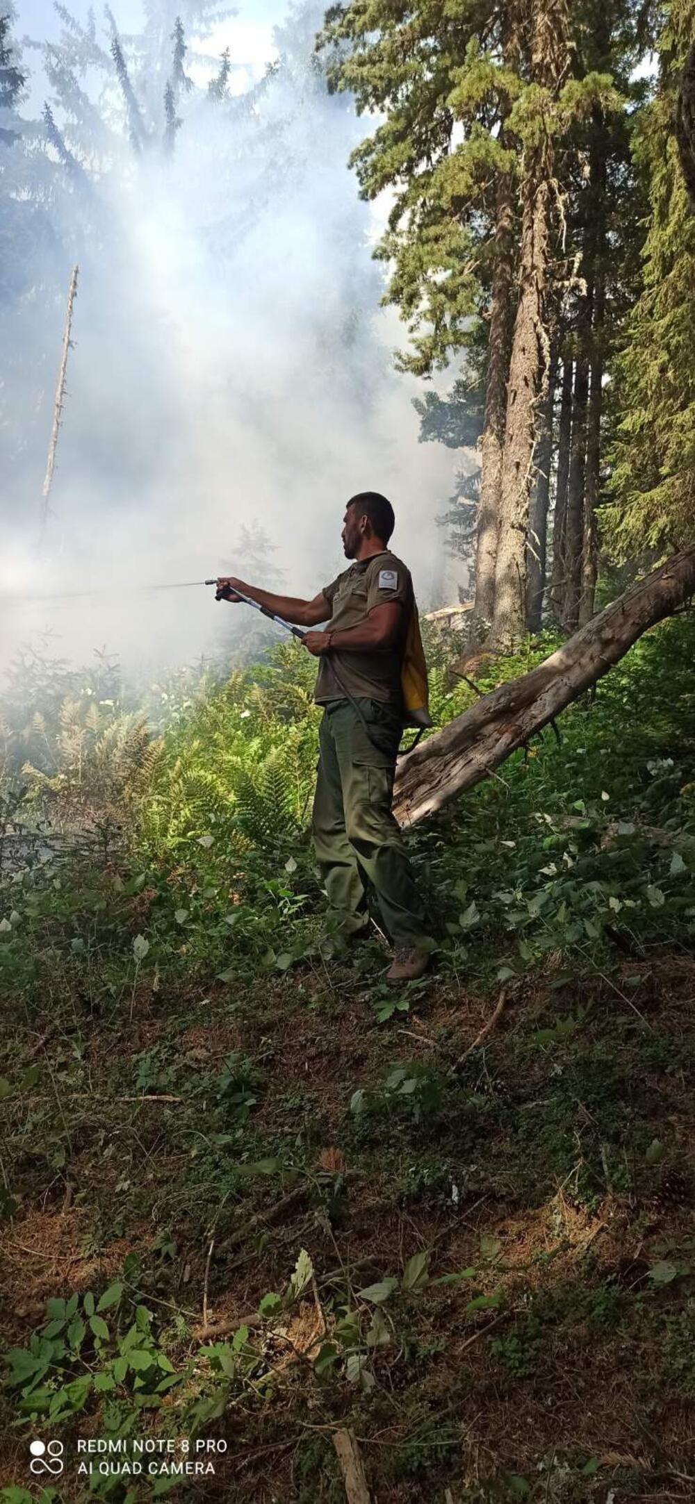 park Prokletije požar