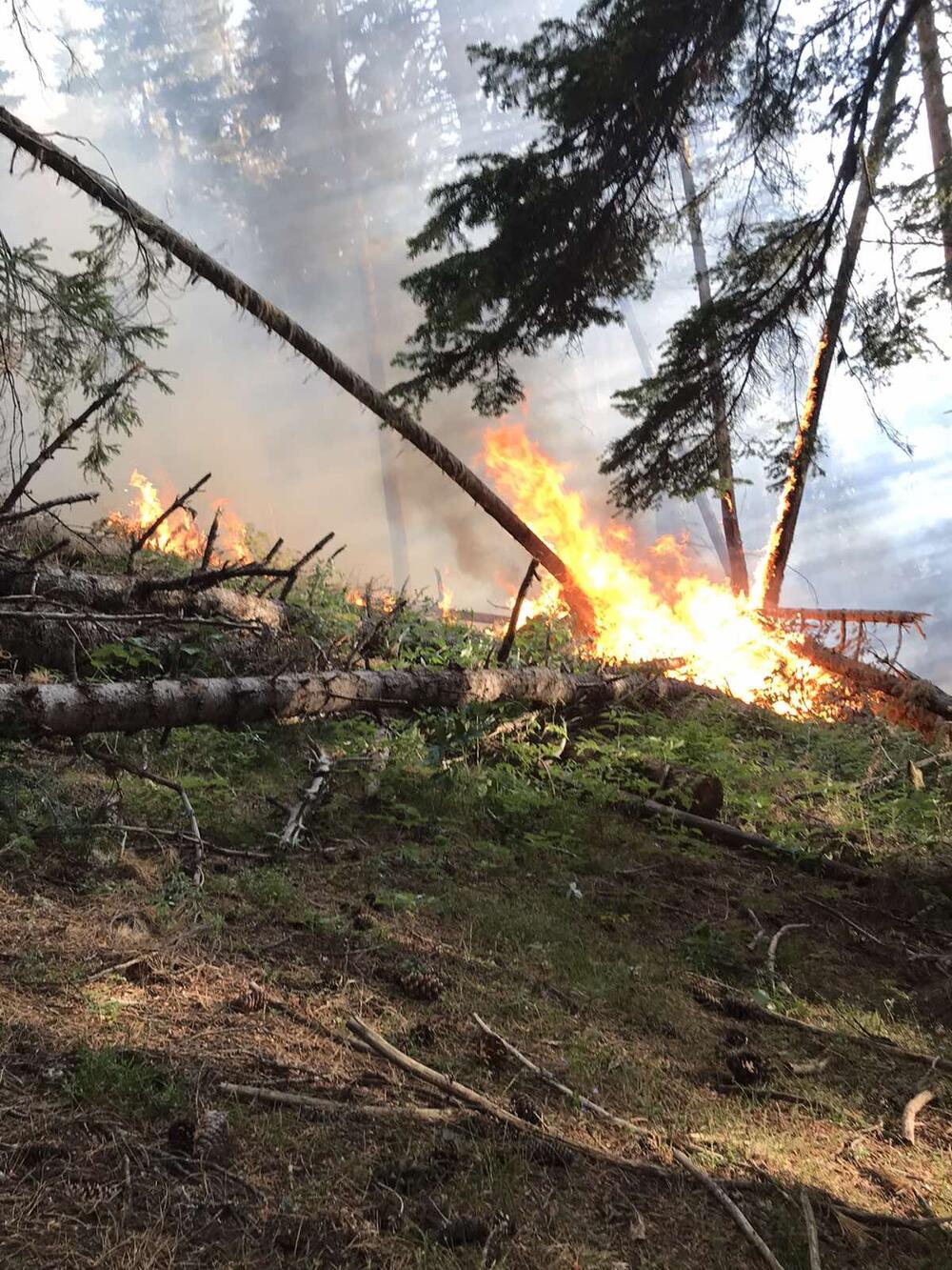 park Prokletije požar