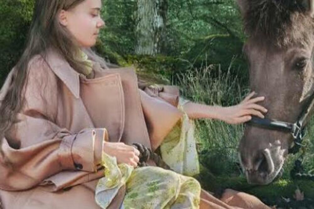 Klimatska aktivistkinja Greta Tunberg, Foto: Printscreen Twitter
