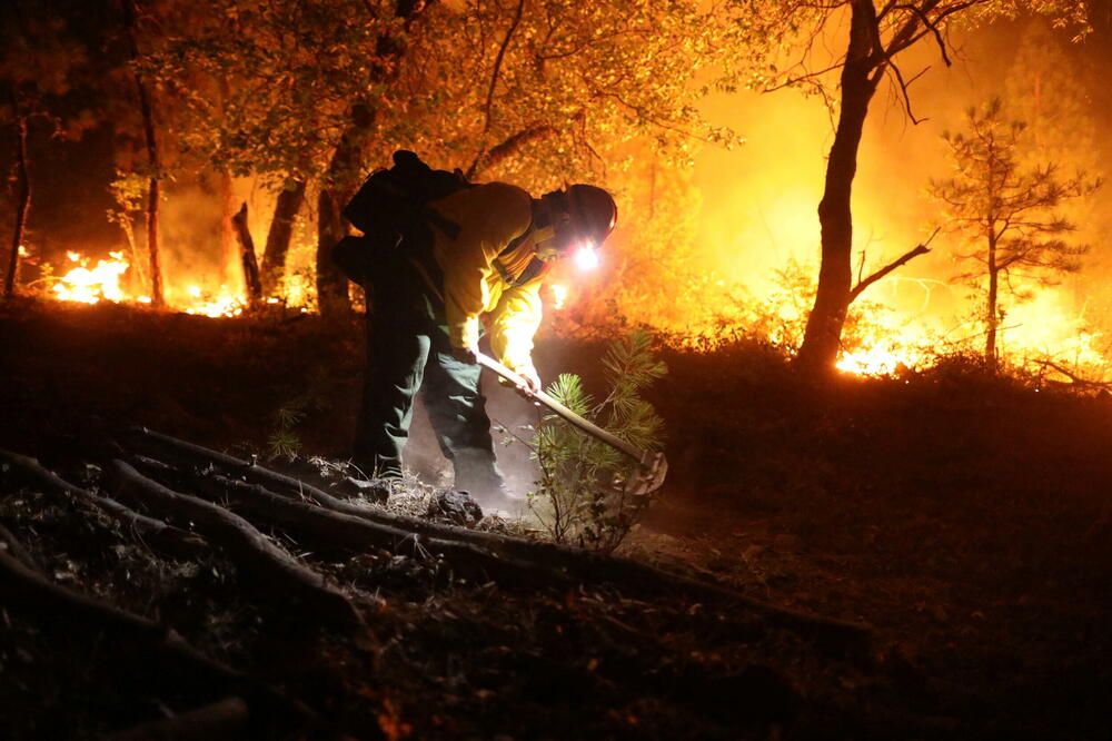 Požar u blizini Grinvila, američka država Kalifornija, Foto: Reuters