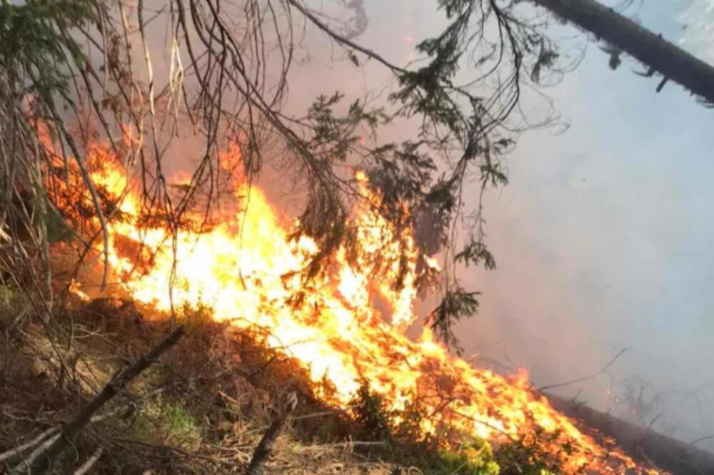 Požar u NP Prokletije, Foto: NPCG