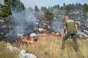 NPCG: Požar u NP Durmitor jedino moguće ugasiti iz vazduha