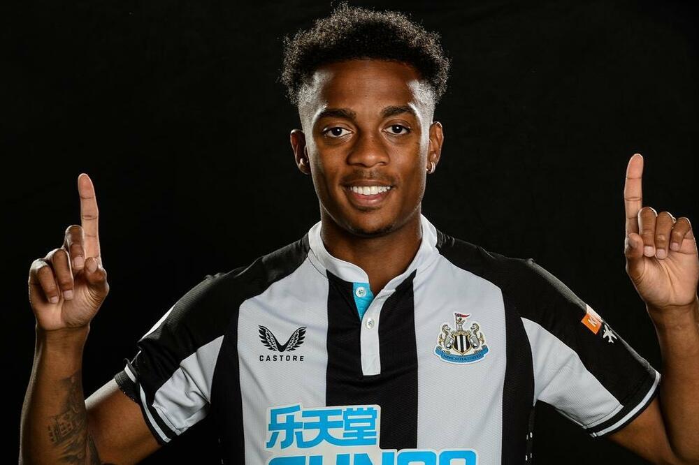 Foto: Newcastle United