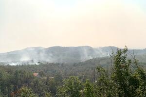 Požari aktivni na više lokacija u Katunskoj nahiji, cetinjski...