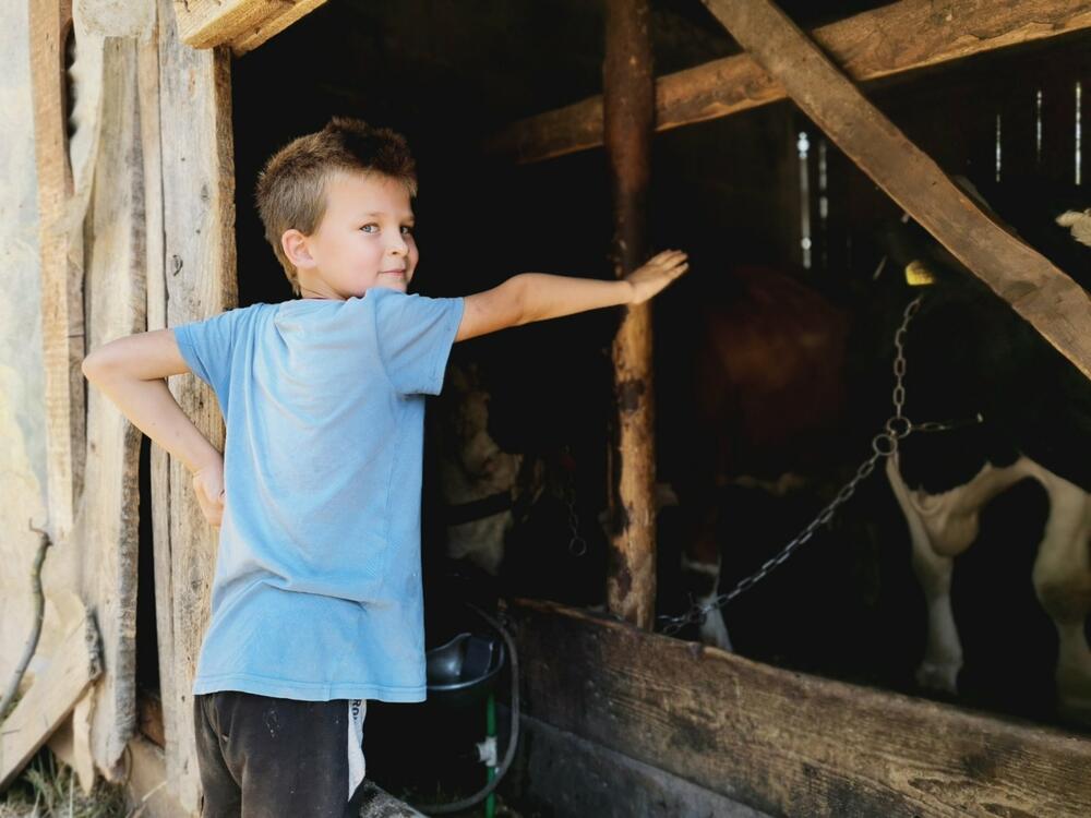 Iz domaćinstva svi rade 