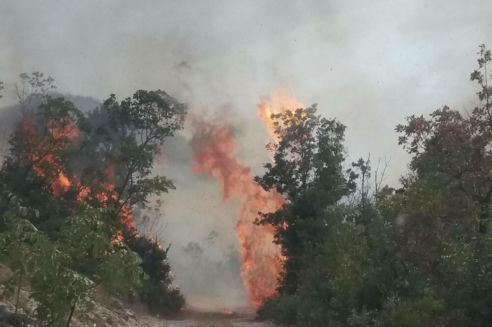 Jedan od požara, Foto: Vatrogasno-spasilačka jedinica Nikšić