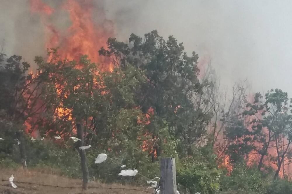 Jedan od požara koji je buktio na teritoriji opštine Nikšić, Foto: Vatrogasno-spasilačka jedinica Nikšić