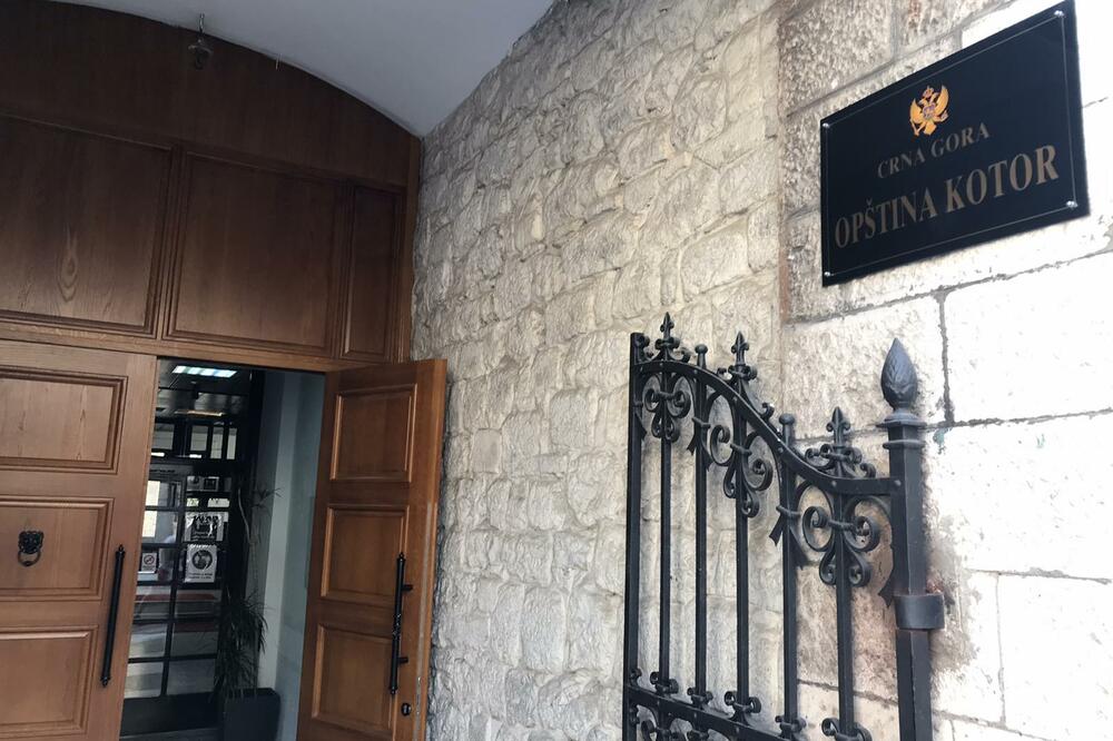 Ilustracija, Foto: Miljana Kljajić