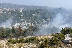 Pod kontrolom požar na Bukovici u NP Lovćen