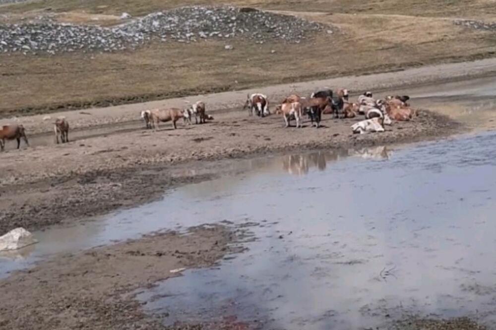 I Savina voda na Sinjajevini presahla, Foto: Privatna arhiva