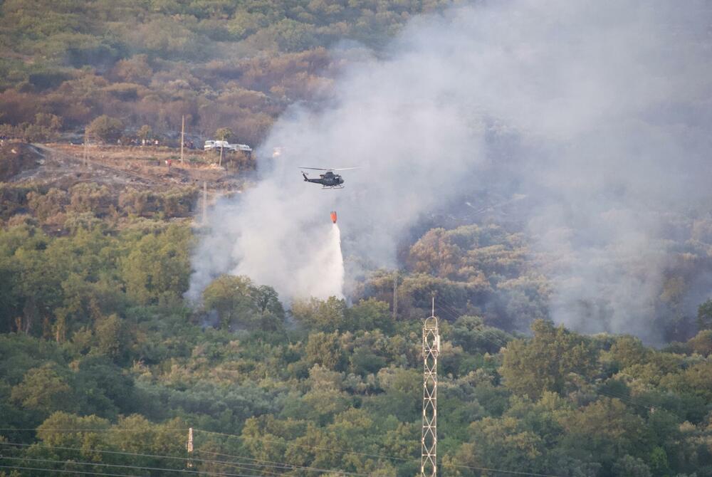 U Pečuricama je, tvrde mještani, izgorjelo više maslinjaka, Foto: Čitalac reporter