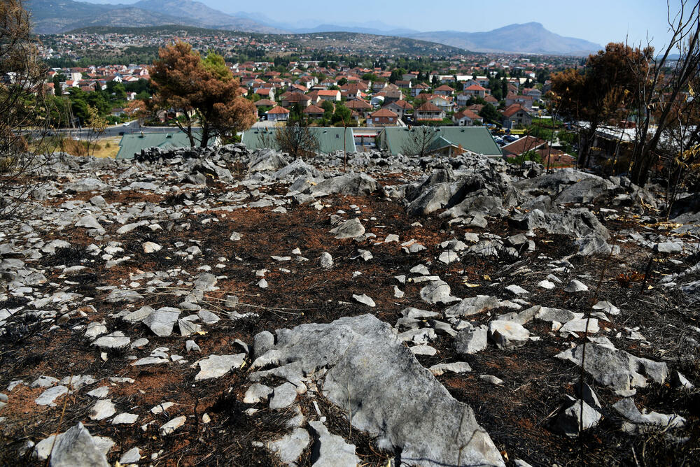 Brdo Gorica nakon požara