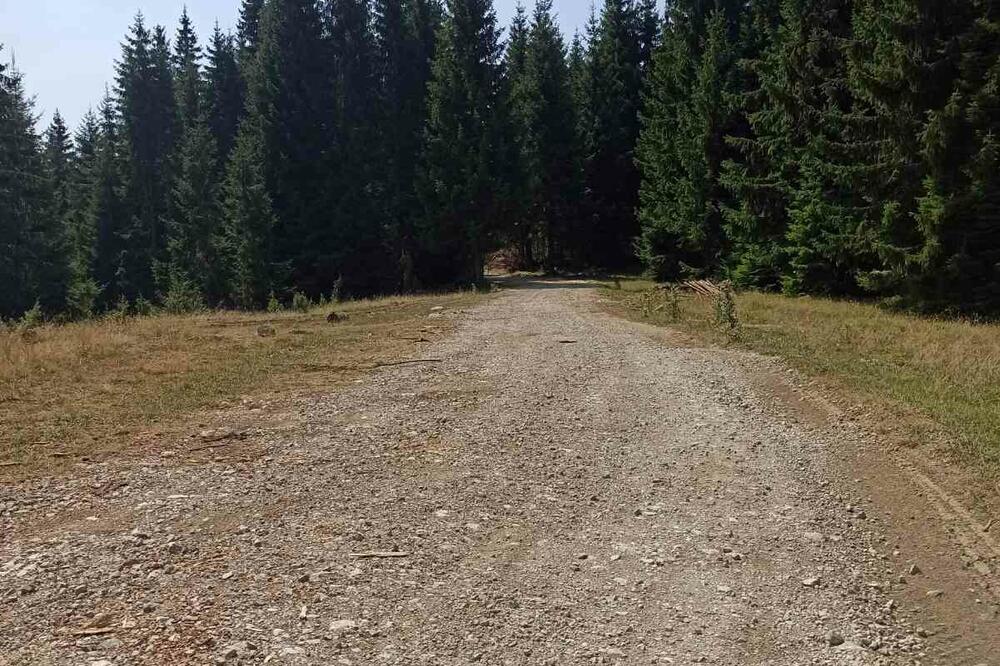 Foto: Privatna arhiva