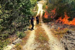 Nikšićki vatrogasci imali rekordnih 306 intervencija zbog požara u...